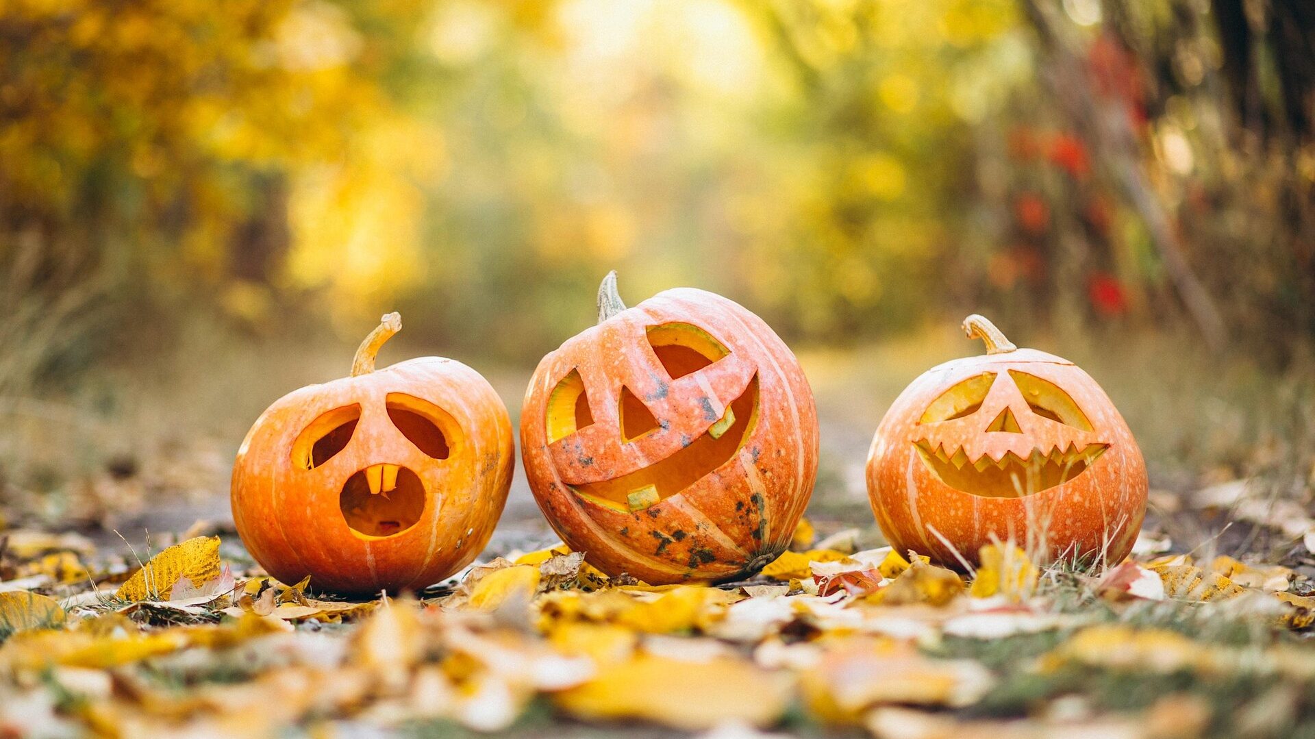 Geschnitzte Kürbisse zu Halloween