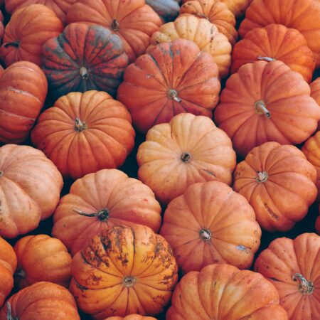Kürbis ist das beste Herbstgemüse: lecker, gesund und vielfältig
