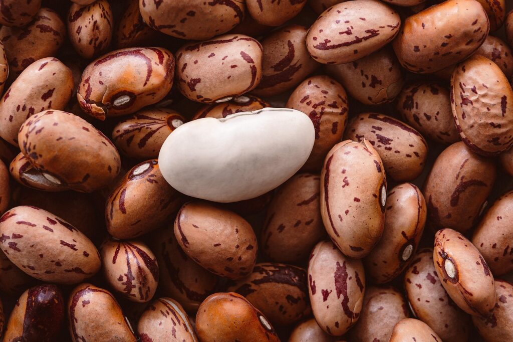 Inklusive Gesellschaft