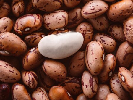 Top Strategien für soziale Gerechtigkeit: So wirst du wirksam aktiv