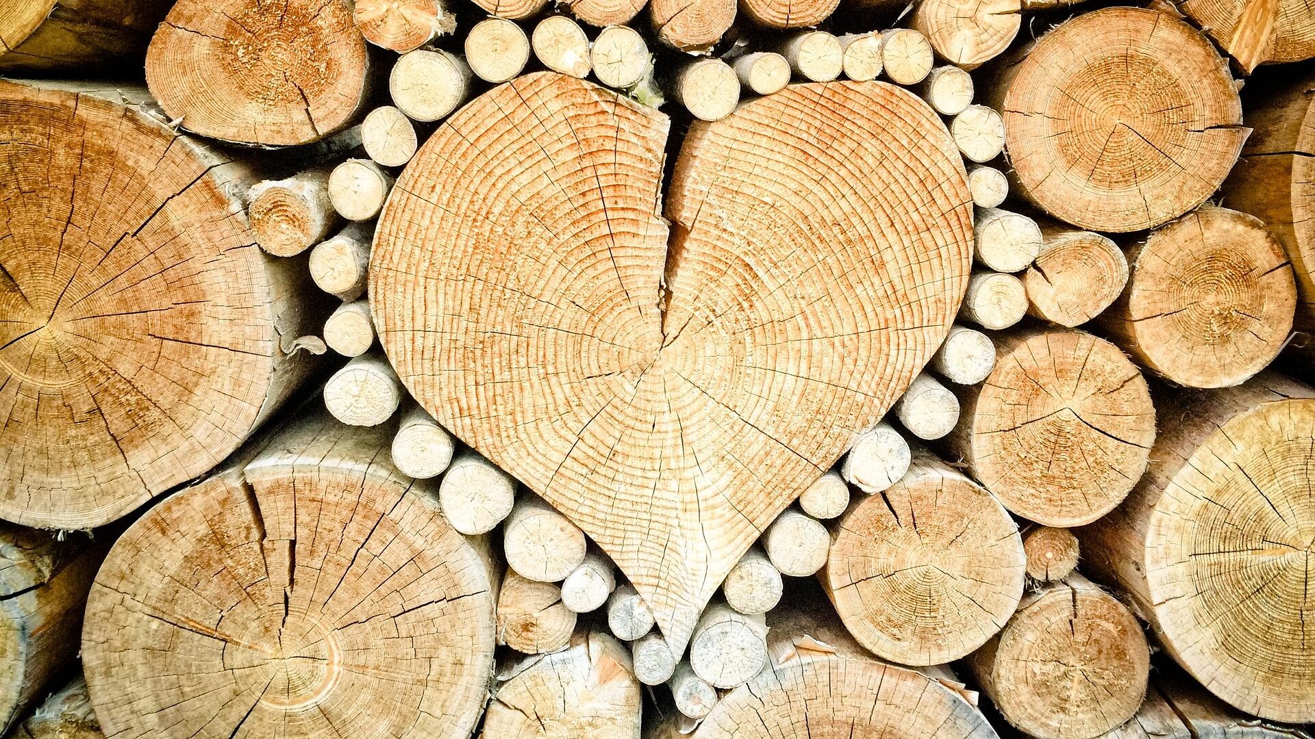 Gut gepflegtes Holz hält mehr als ein Leben lang.