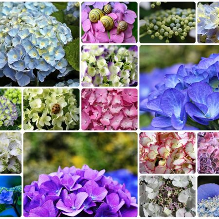 Moodboards wirkungsvoll nutzen: Tipps und Beispiele