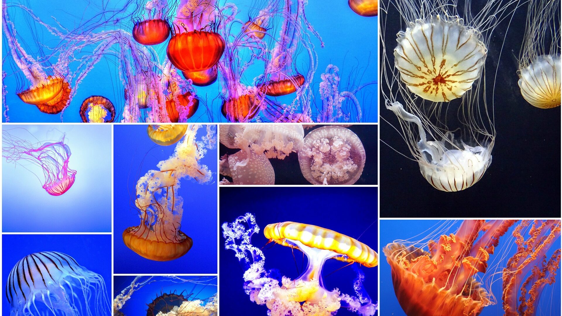 Die Farben des Meeres als Inspiration