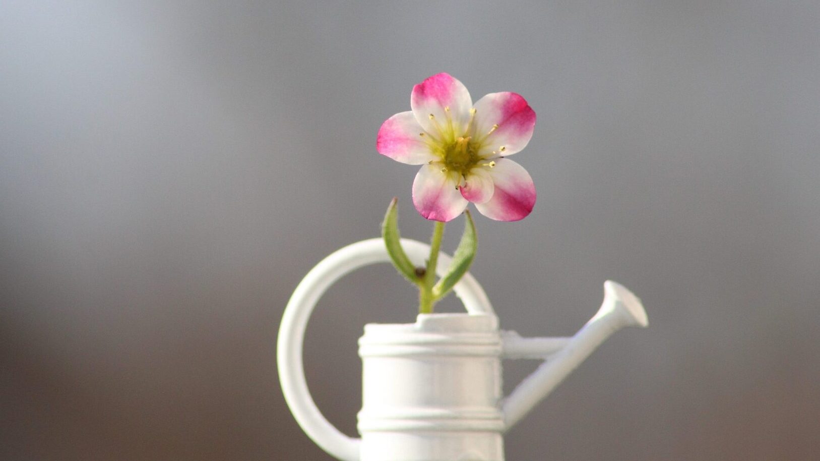 Minimalismus - Warum weniger manchmal mehr ist 3 Mehr Einfachheit, mehr Klarheit und mehr Fokus durch Reduktion.