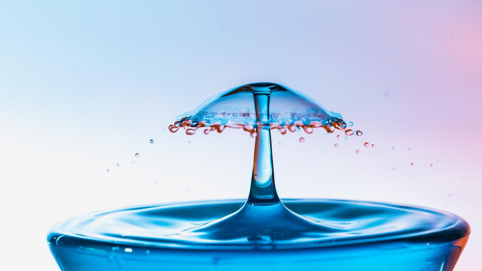 Wasserfilter: Welche gibt es und was sind die Vorteile? 1 Jeder hat ein Anrecht auf saubere und gesundes Wasser.