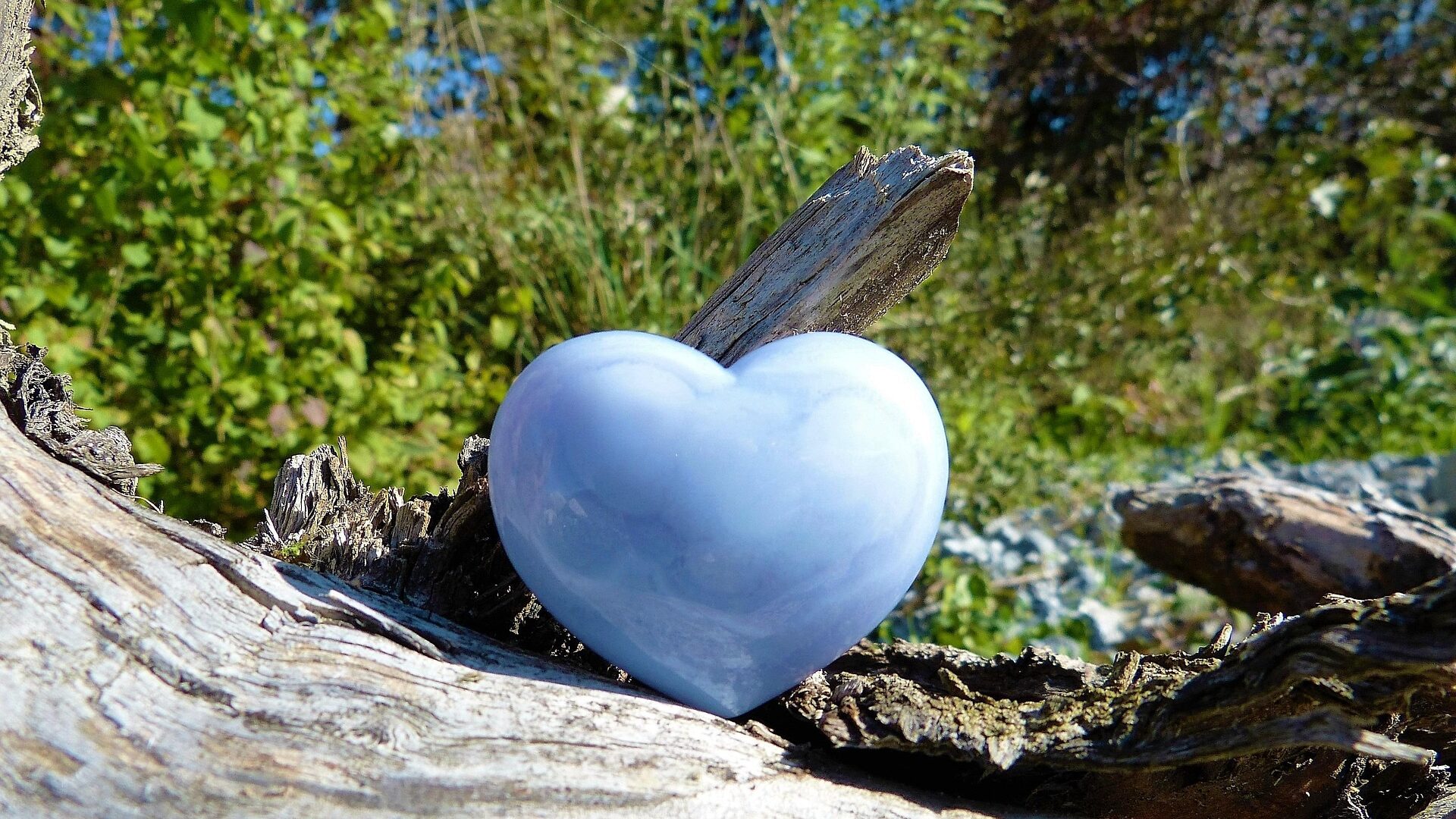 Vorteile von Naturkosmetik - gesund und nachhaltig 1 Naturkosmetik - der Gesundheit und Umwelt zuliebe