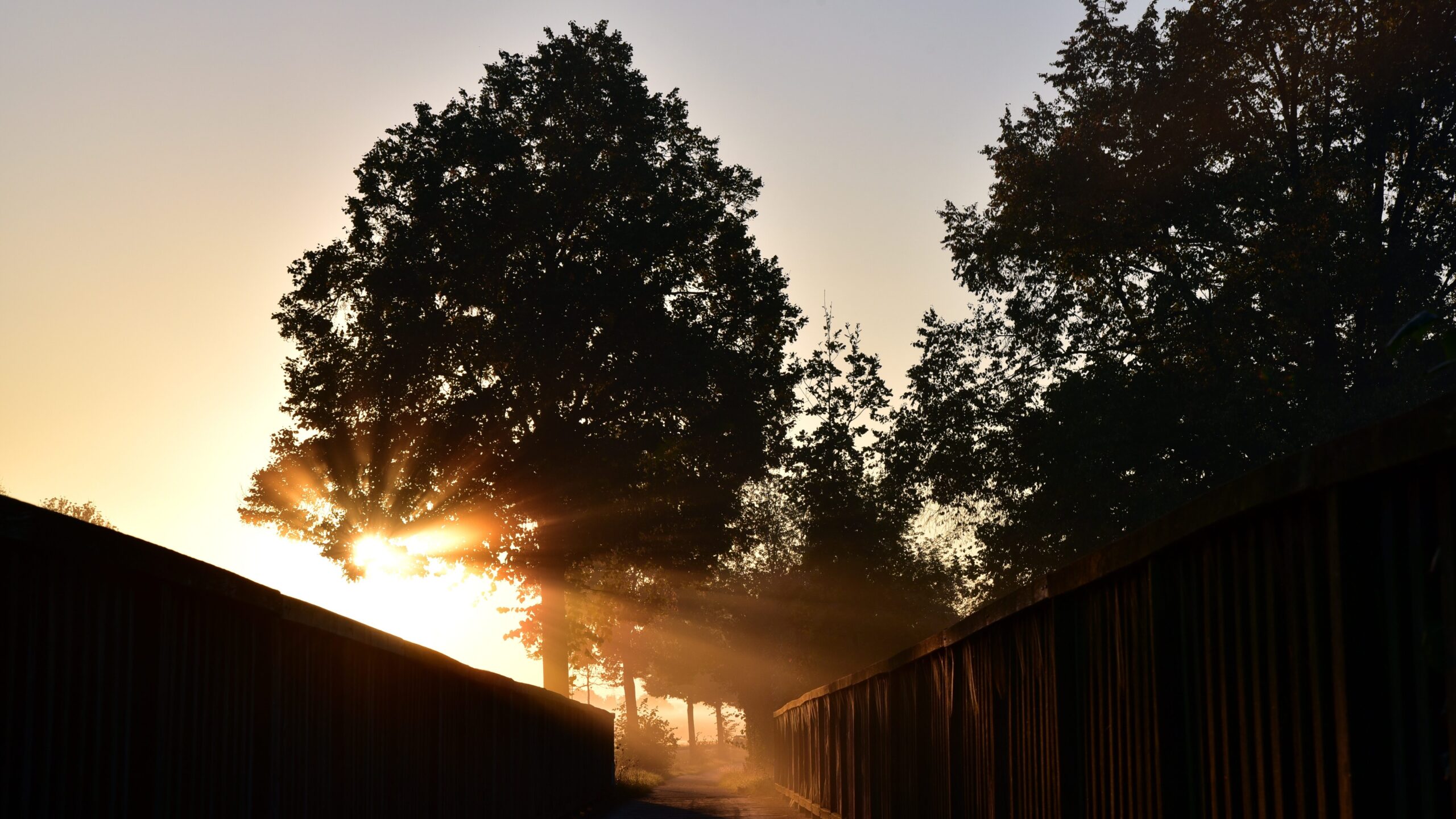 7 Gewohnheiten, die dein Leben in 30 Tagen verändern 4 Gewohnheiten
