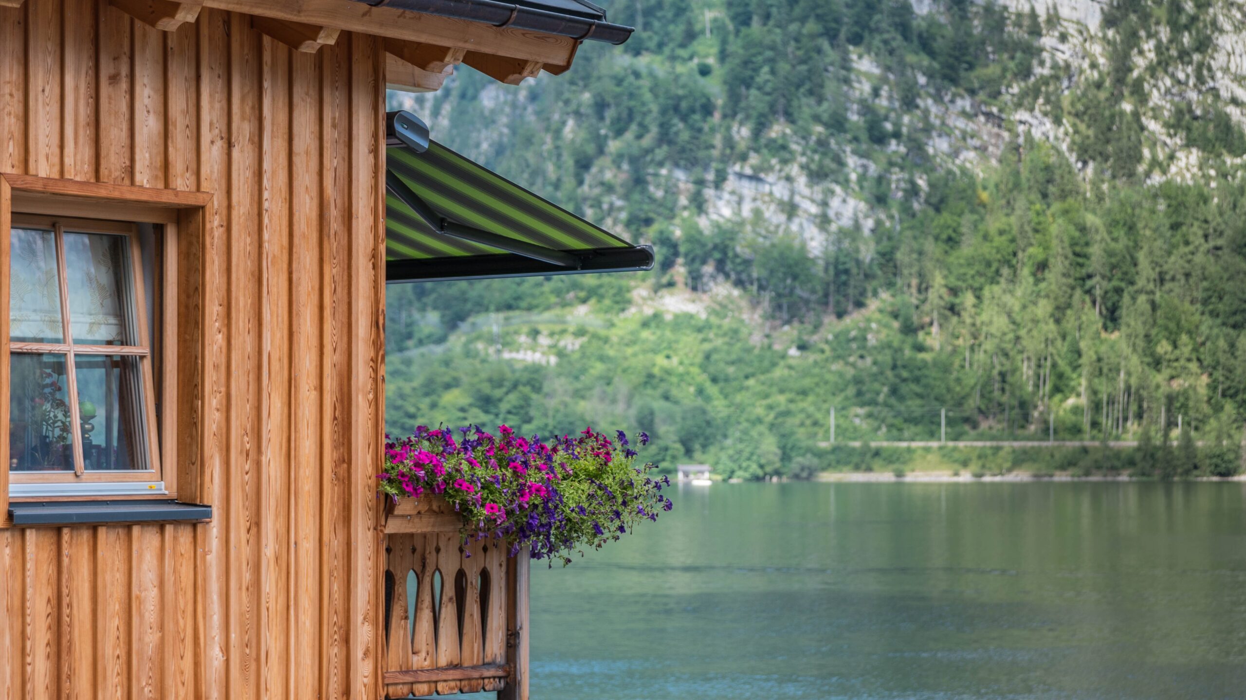 Pflegeleichte Balkonpflanzen für den Sommer – die besten Arten, Tipps und Ideen für eine entspannte Begrünung 2 Pflegeleichte Balkonpflanzen