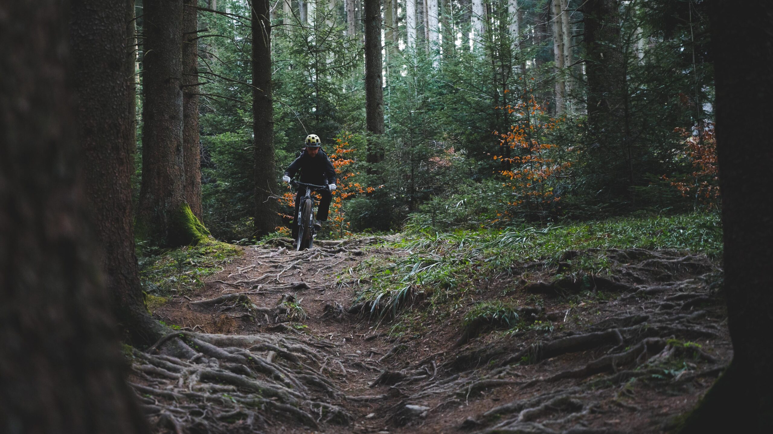 Mountainbike fahren: Grundlagen, Ausrüstung, Unterschiede und Vergleich zum Rennradfahren 4 Mountainbike