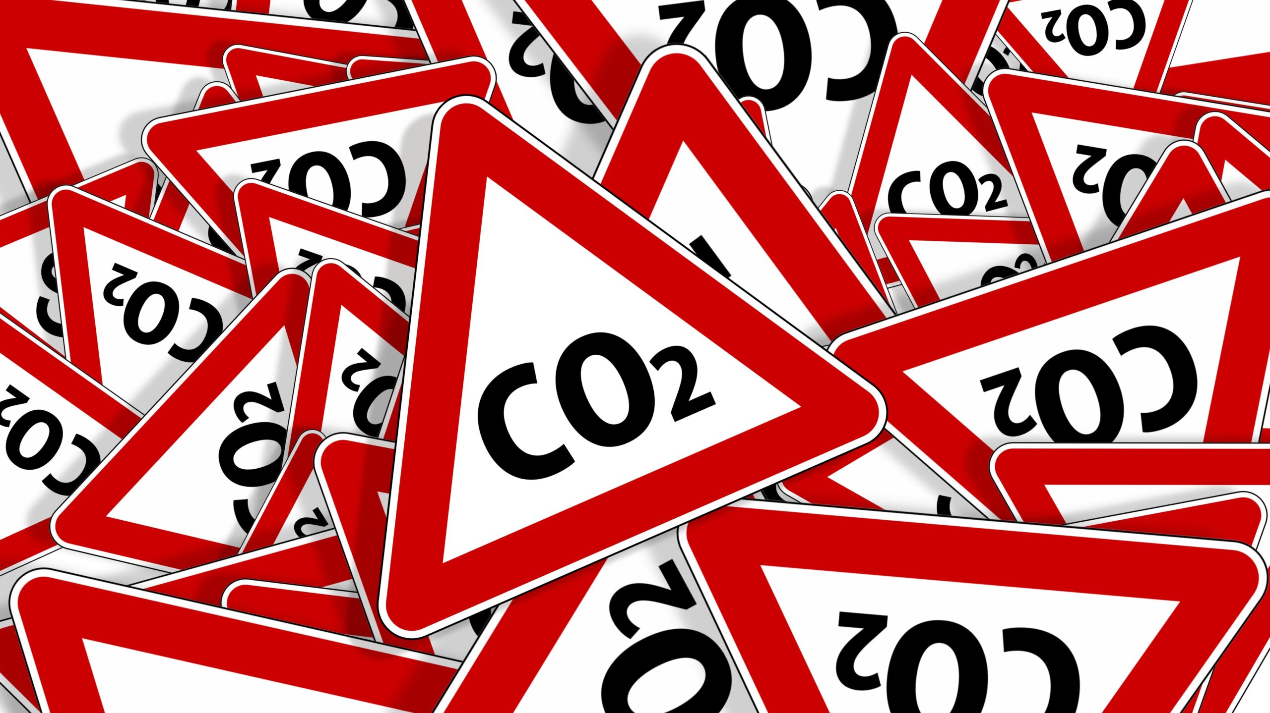 Klimafreundlich reisen: Einfache Maßnahmen für nachhaltigen Tourismus 3 Klimaneutral reisen