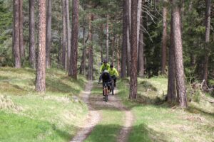 Mountainbike