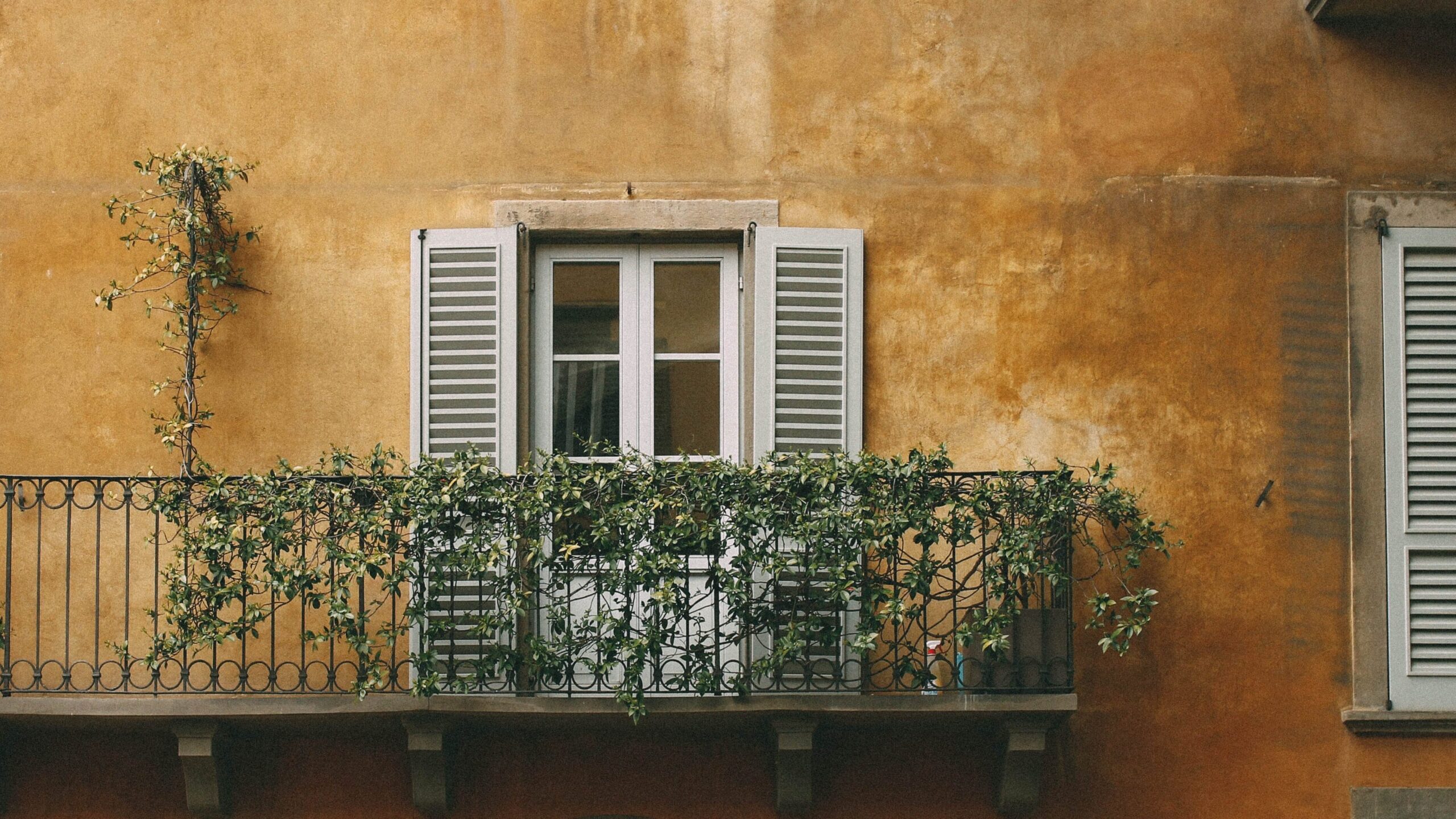 Balkonbepflanzung im Frühling – Ratgeber für üppige Frühlingsblüten 4 Balkonbepflanzung