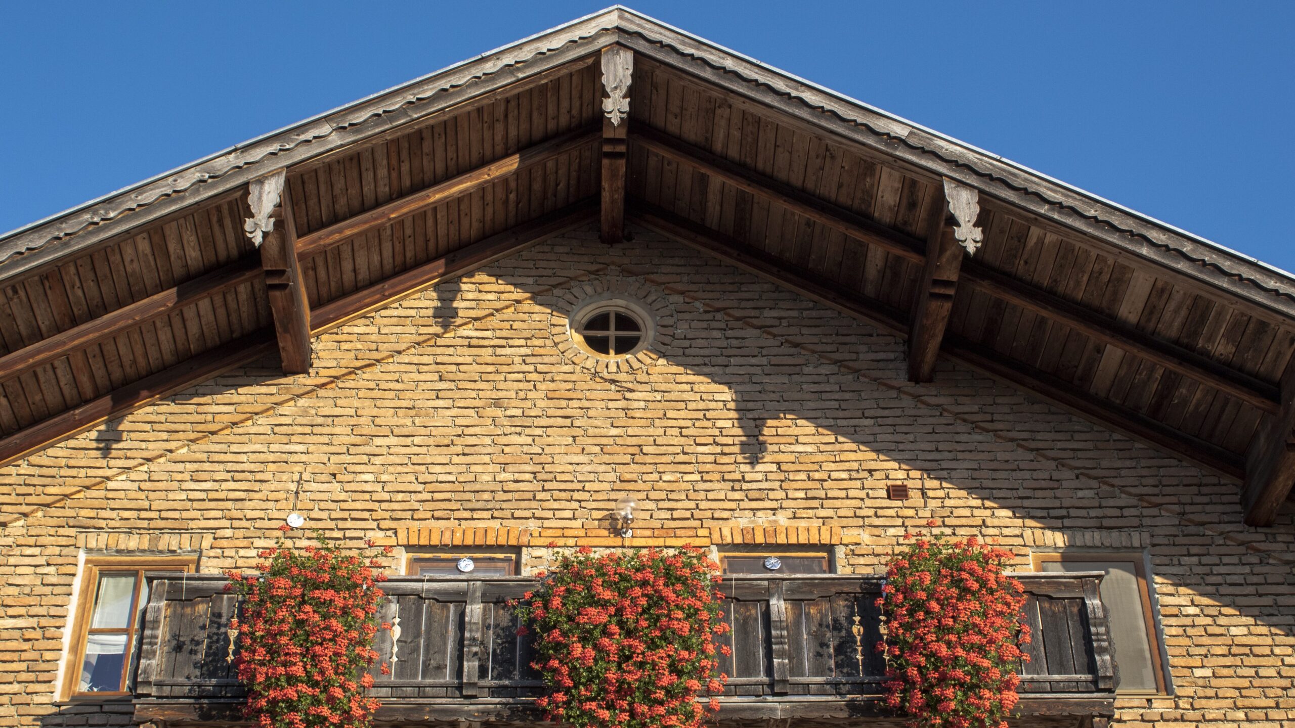 Pflegeleichte Balkonpflanzen für den Sommer – die besten Arten, Tipps und Ideen für eine entspannte Begrünung 3 Pflegeleichte Balkonpflanzen