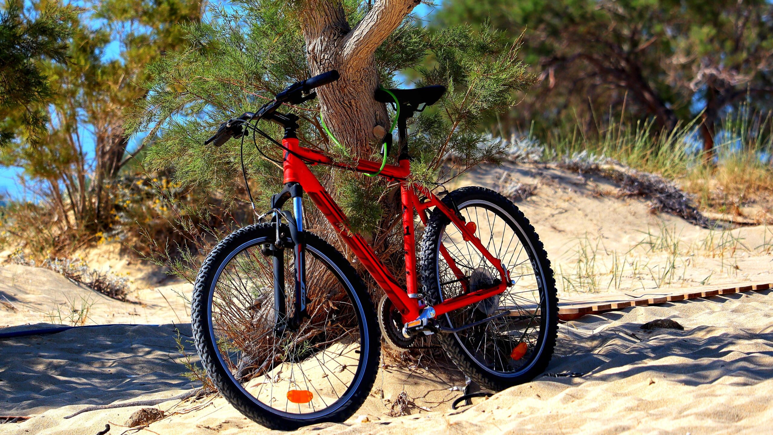 Mountainbike fahren: Grundlagen, Ausrüstung, Unterschiede und Vergleich zum Rennradfahren 3 Mountainbike