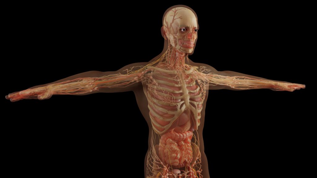 Cyborg Season 2026: Das härteste Laufprojekt der Welt? Alles über Arda Saatçi, die 600 Kilometer durch die Wüste und die Grenzen des Menschen 3 Cyborg-Season