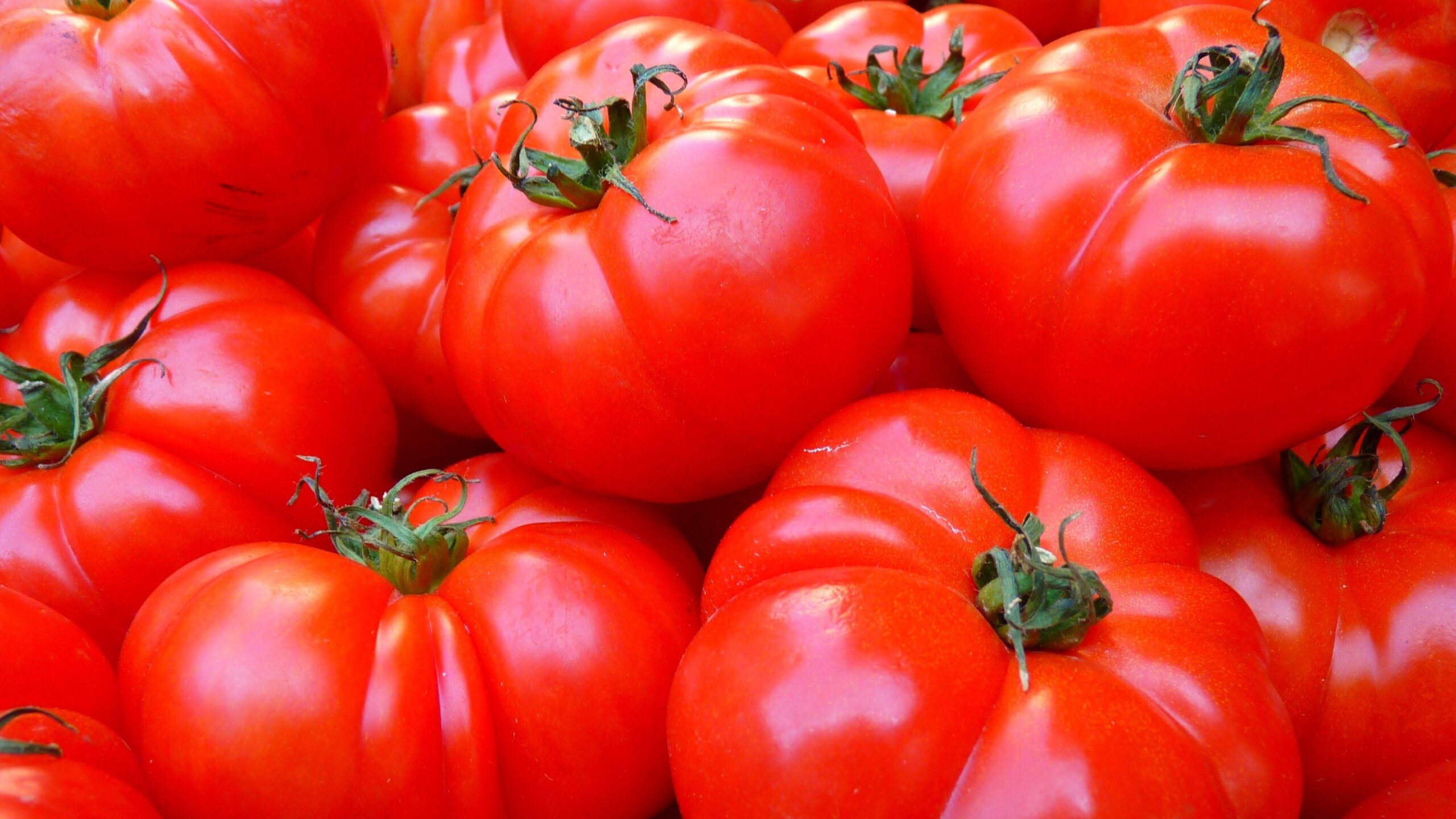 Tomaten pflanzen auf dem Balkon: Der umfassende Ratgeber für eine erfolgreiche Ernte 1 loggawiggler tomatoes 5356 edited scaled