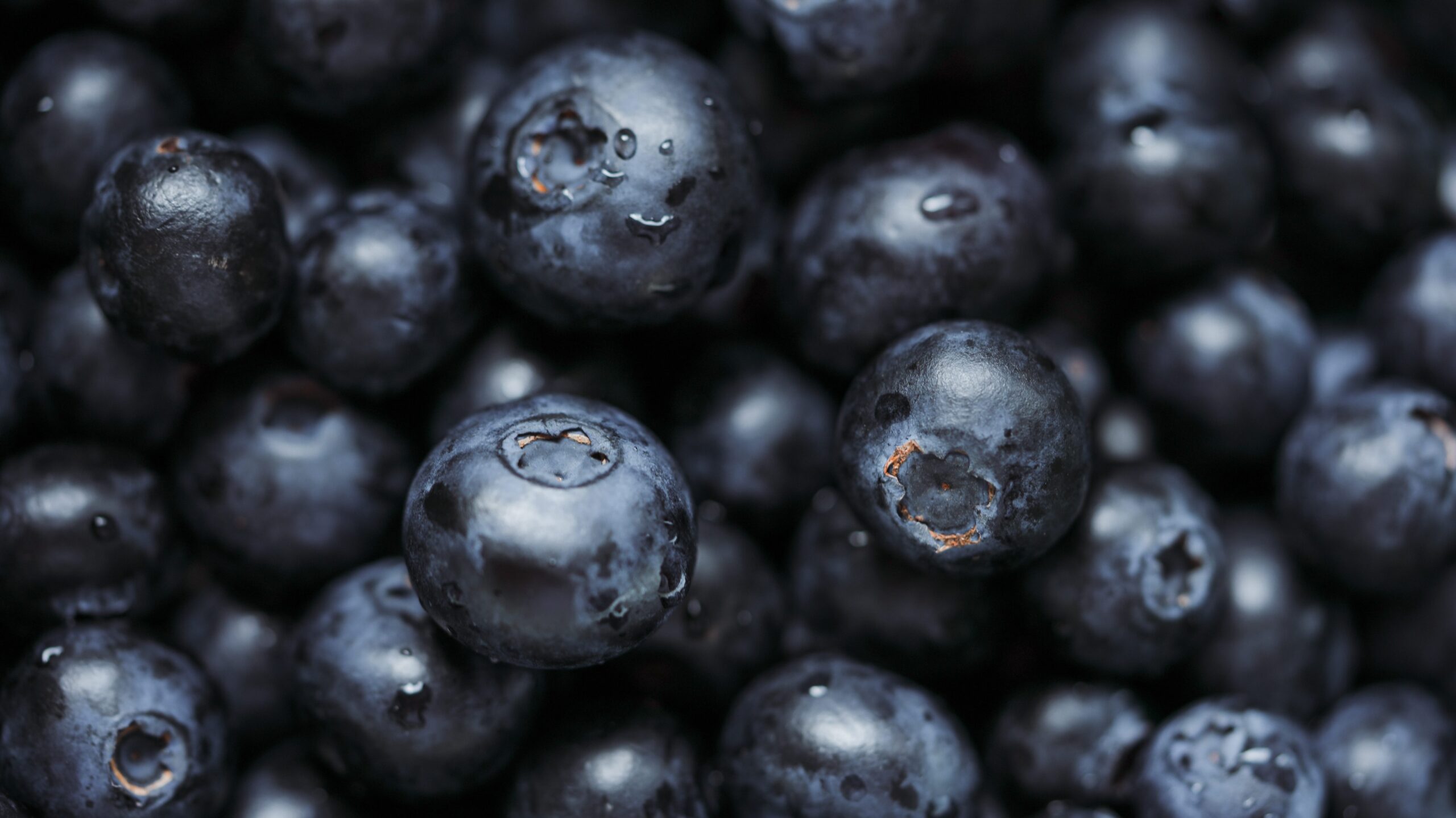 Superfoods – sinnvoll oder Mythos? Alles Wissenswerte über Superfoods 3 mariya m blueberries 7631751 1 edited 6 scaled