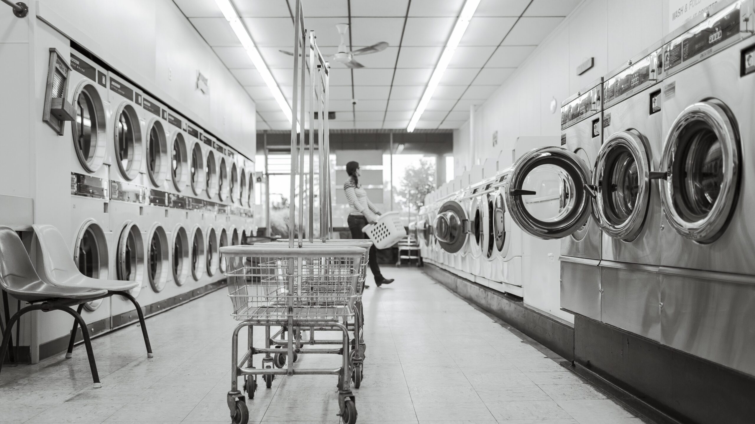 Pflanzliche Waschmittel im Vergleich: Flüssig oder fest? Geschichte, Inhaltsstoffe, Unterschiede und Nachhaltigkeit 4 ryanmcguire laundry saloon 567951 edited scaled