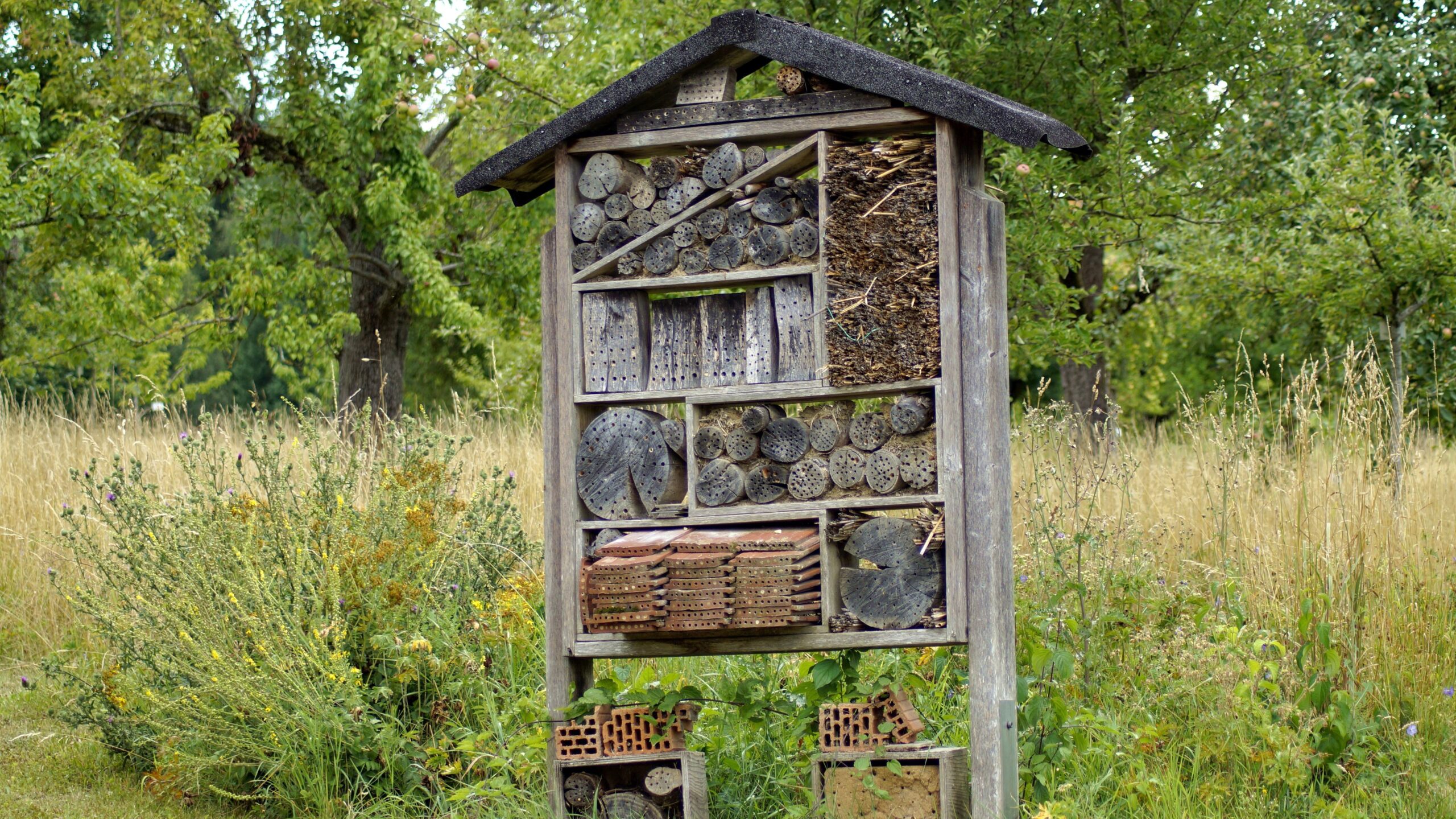 Insektenhaus: Nutzen, Standort, Bewohner und wichtige Tipps für Bau und Pflege 3 marzena7 insect hotel 3542438 edited scaled