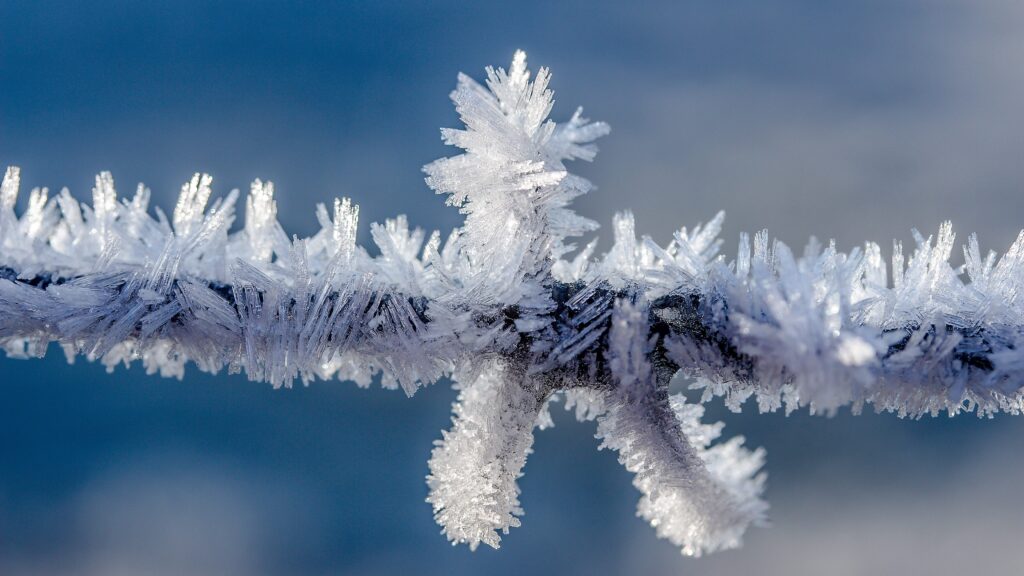 Winterdepression: Ursachen, Symptome, Hilfe und Behandlung 2 myriams fotos barbed wire 1938842 edited